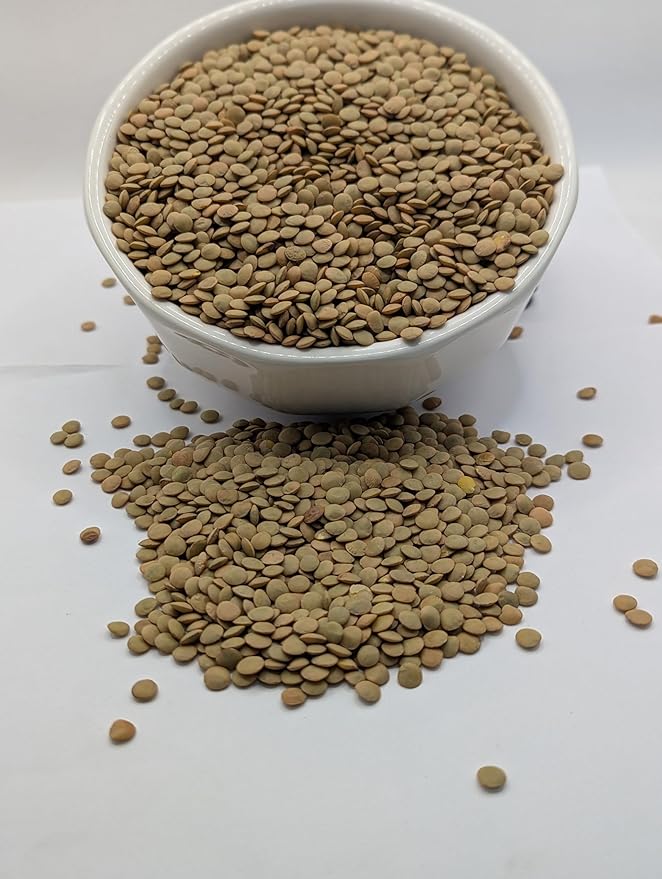 High Plains Richlea Lentils | 10 Pound Bag | Farm-Fresh | Non-GMO Verified | High Protein & Fiber