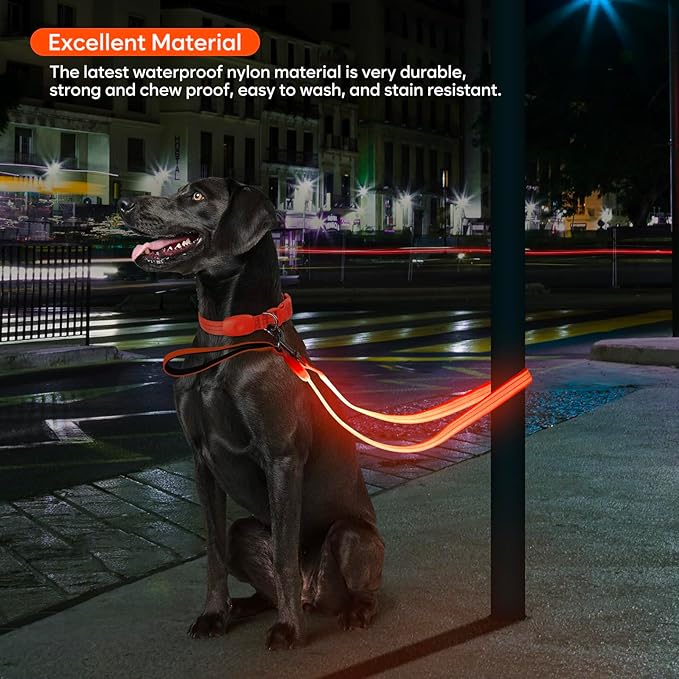 LED Dog Leash, Light Up Dog Leash 4 Ft USB Rechargeable Waterproof, Nylon Reflective Leashes with