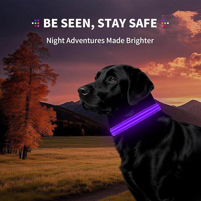 LED Dog Collar with Metal Buckle - USB Rechargeable Glow Collar for Dogs, Waterproof Light Up Dog