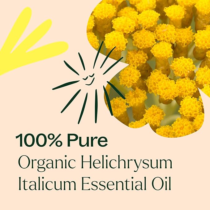 Plant Therapy Organic Helichrysum Italicum Essential Oil for Skin 100% Pure, USDA Certified