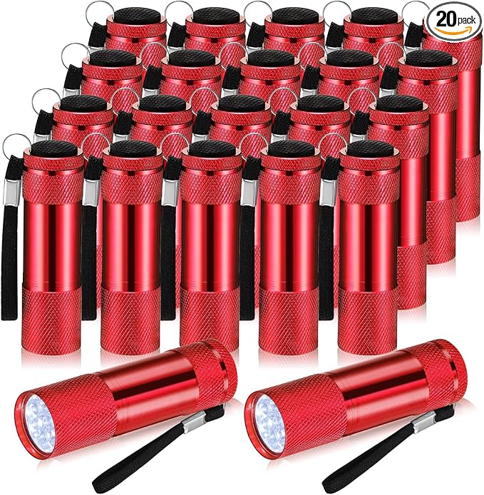 VIHOSE 20 Pcs Mini Flashlights Bulk, Bright Aluminum Handheld Flash Light with Lanyard Small LED