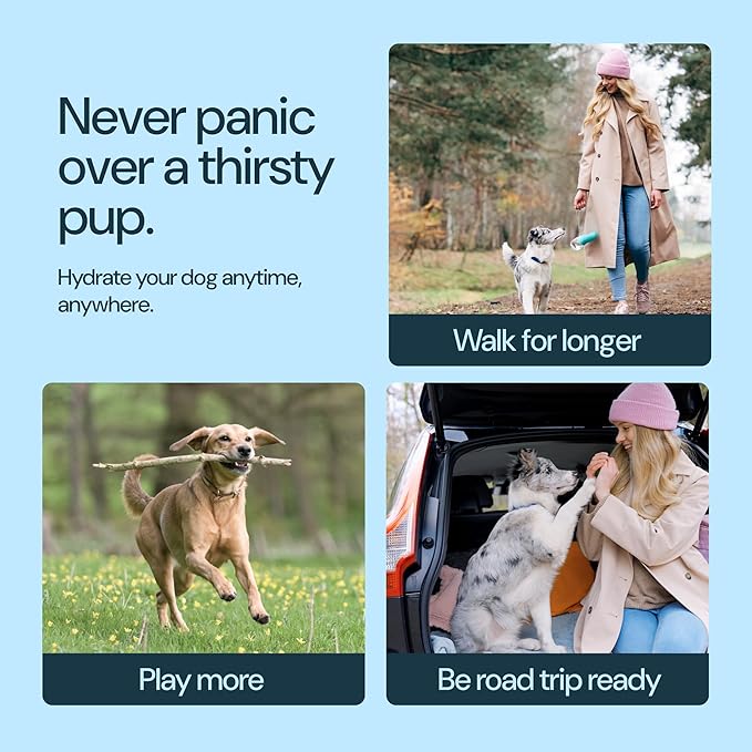 MalsiPree Leak-Proof Portable Dog Water Bottle for Travel - 19 oz, with Pink Bowl - Food Grade