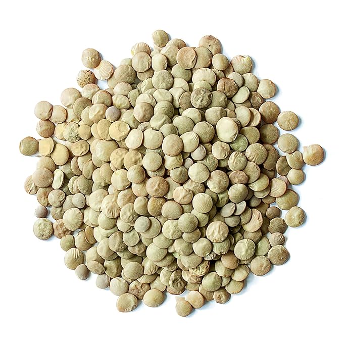 Food to Live Organic Whole Green Lentils, 3 Pounds Non-GMO, Dried Raw Beans, Sproutable, Vegan