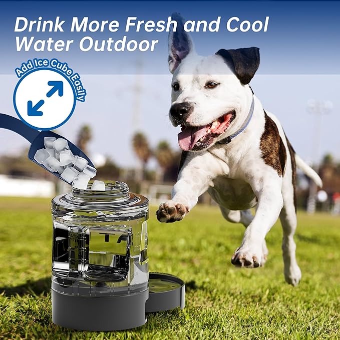 77oz Portable Dog Water Bottle, Camping Essentials, Large Travel Bottle with Pull-Out Drinking