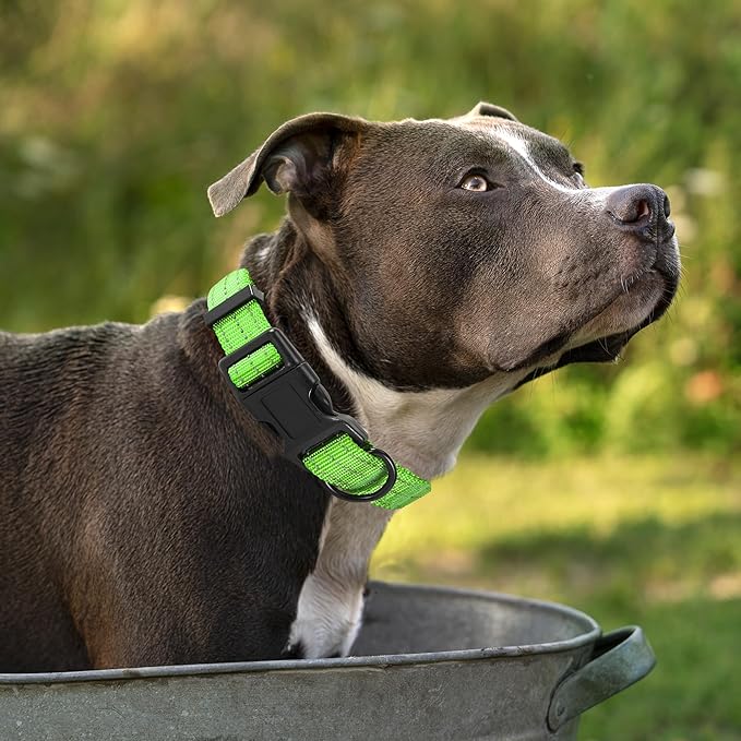 Mile High Life Dog Collar | Nylon Reflective Dog Collars | Light Weight Puppy Collars | Lime Green