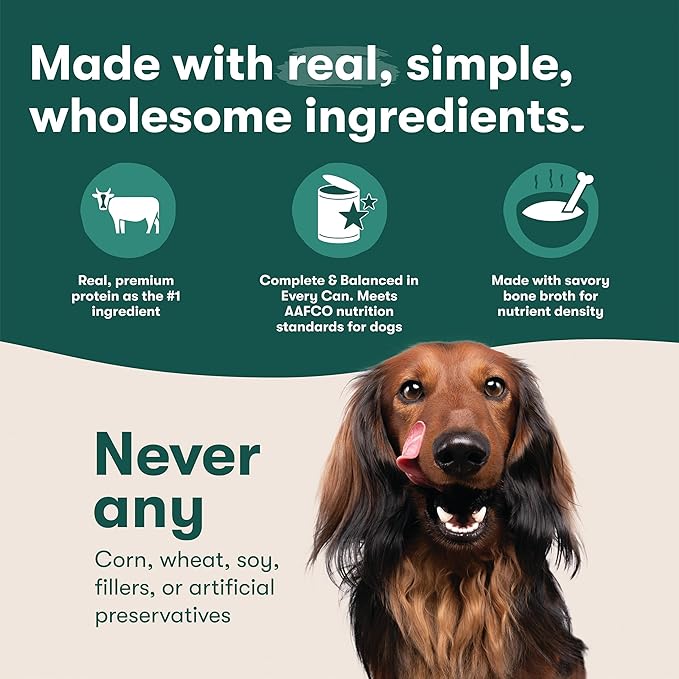 Jinx Premium Wet Dog Food Cans - Chicken & Vegetables Pate - Grain-Free Canned Dog Food Pate &