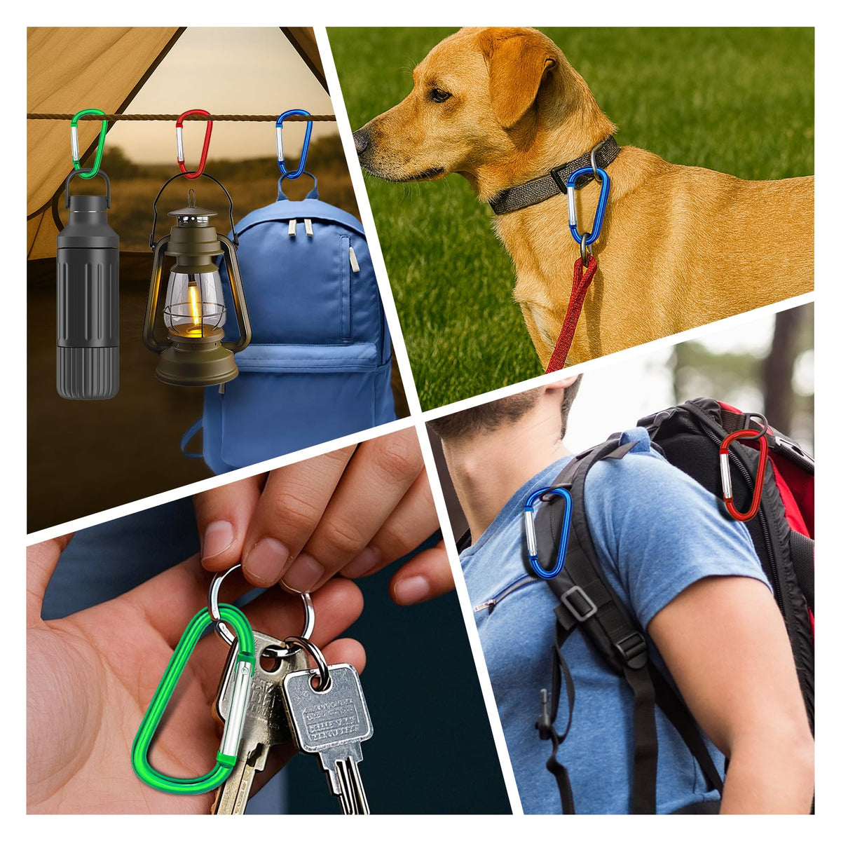 Carabiner Clip Multi Size Pack, Aluminum Carabiner Includes Small 2 Inch Carbineers, Medium 2.3" D