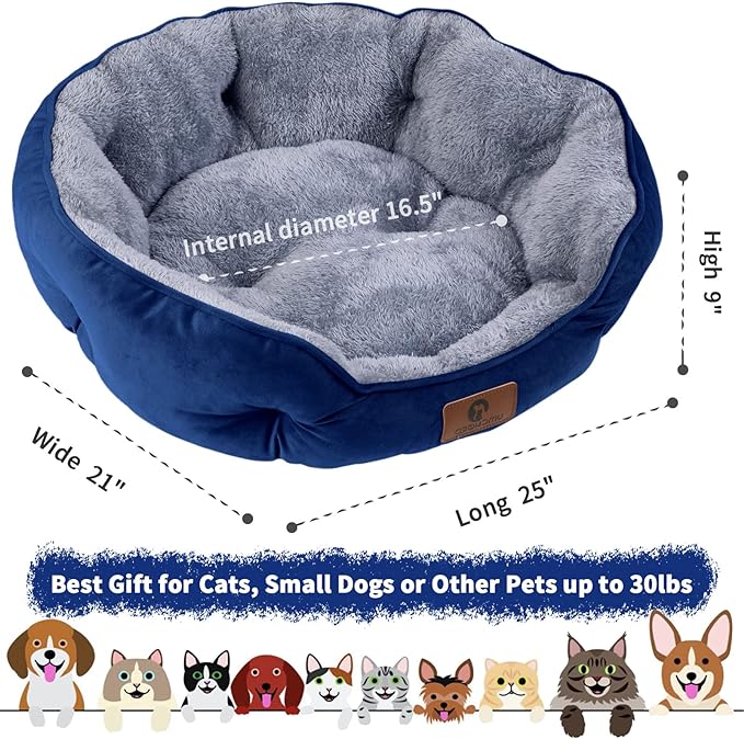 Asvin Medium Dog Bed for Medium Dogs, Large Cat Beds for Indoor Cats, Pet Bed for Puppy and Kitty
