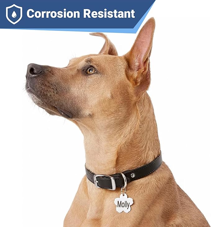 GoTags Stainless Steel Pet ID Tags, Personalized Dog Tags and Cat Tags, up to 8 Lines of Custom