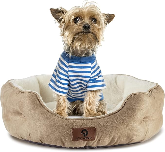 Asvin Medium Dog Bed for Medium Dogs, Cat Beds for Indoor Cats, Pet Bed for Puppy and Kitty, Extra