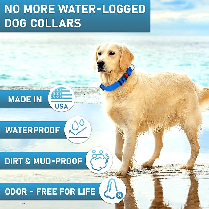 Adjustable Dog Collar with QR Code Dog Tag ID Attached - Made in USA - Honeycomb Waterproof Heavy