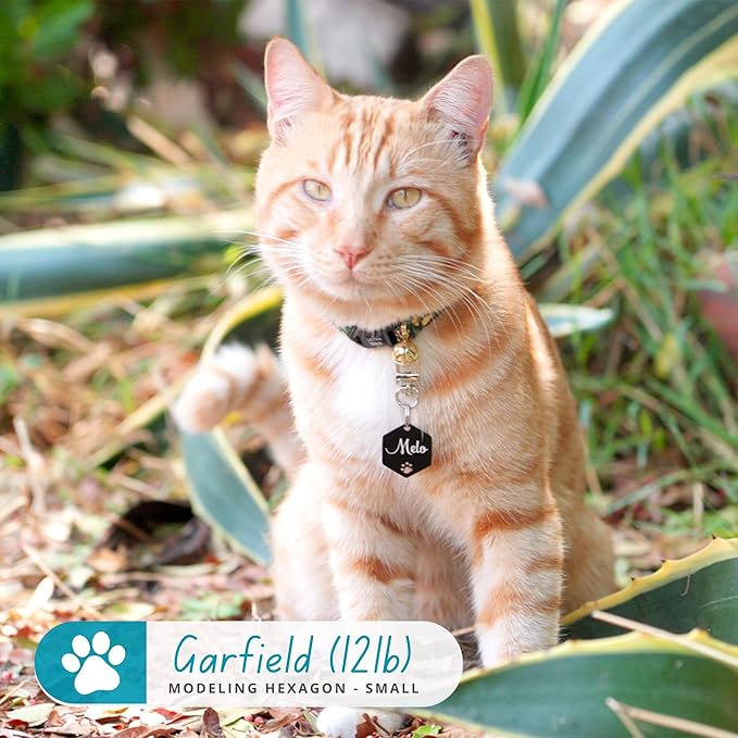 Ultra Joys Dog Tags Personalized for Pets - Hollow Paw Custom Pet ID Tag - Engraved Dog Tag for