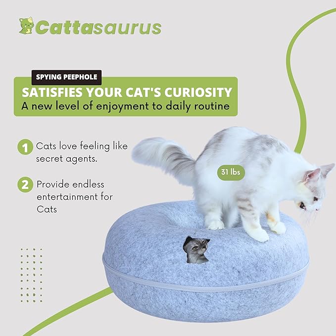CATTASAURUS Peekaboo Cat Cave for Multiple & Large Cats Up to 30-45 Lbs, Scratch Detachable &