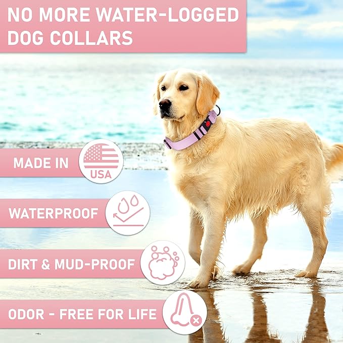 Adjustable Dog Collar with QR Code Dog Tag ID Attached - Made in USA - Honeycomb Waterproof Heavy