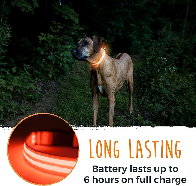 Mighty Paw LED Dog Collar - USB Rechargeable LED - High Visibility Glow Pet Strips - Weather