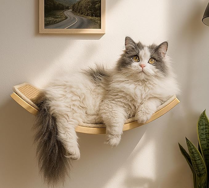 Wood Cat Wall Bed with Sisal Mat ??Curved Cats Shelf for Scratching and Sleeping, Wall Mounted Cat