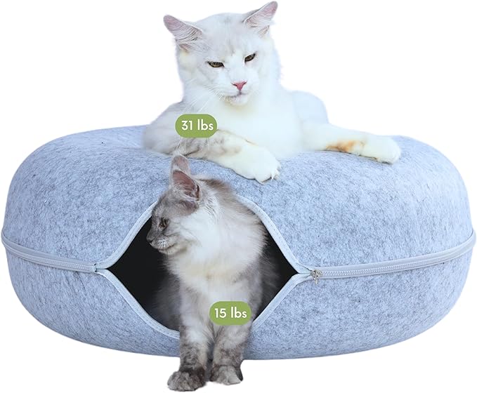 CATTASAURUS Peekaboo Cat Cave for Multiple & Large Cats Up to 30-45 Lbs, Scratch Detachable &