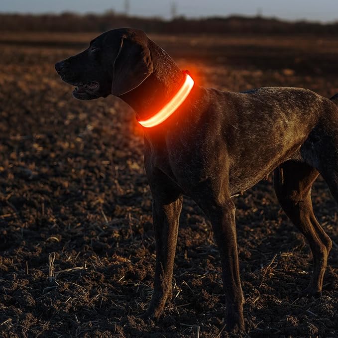Illumifun Light Up Dog Collar, USB Rechargeable LED Dog Collar, Adjustable Lighted Safety Collar