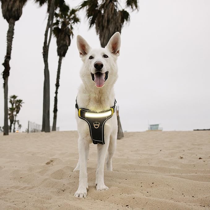 Lumi One LED Dog Harness for Night Visibility and Safety, Patent Pending ??High-Visibility Light-Up