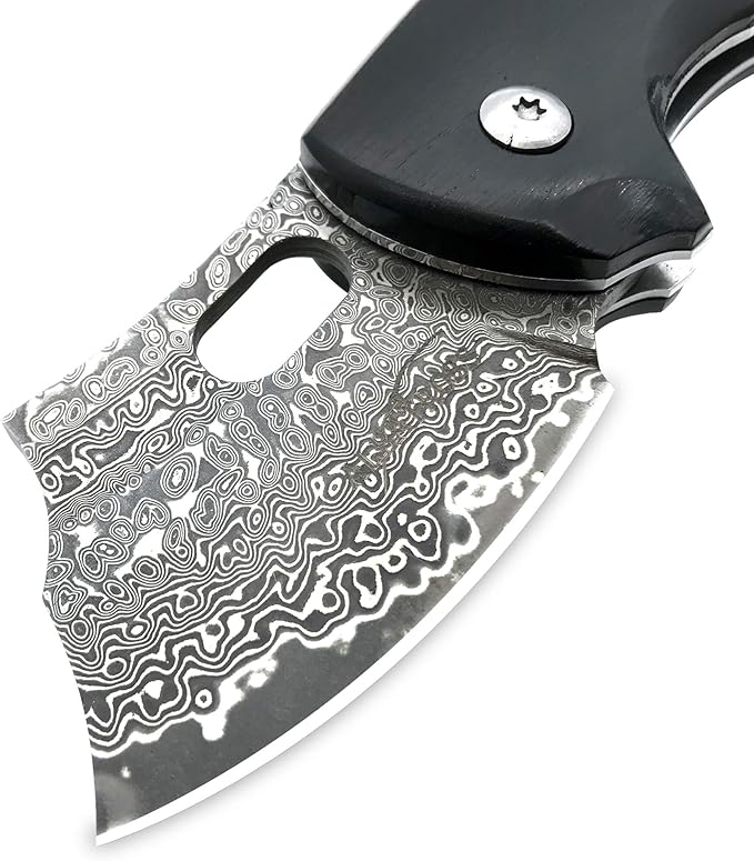ALBATROSS Premium Folding Pocket Knife - EDC Mini VG10 Damascus Steel with 2" Blade - Ebony Wood