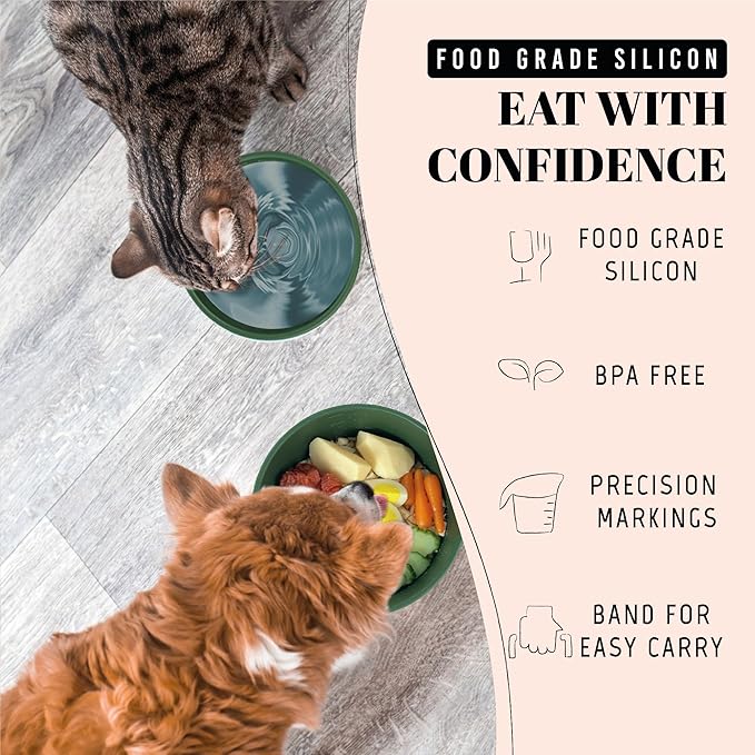 AVERYDAY 30 Oz Travel Dog Bowls with Lids, 2-in-1 Portable Pet Bowls for Food and Water, Leakproof