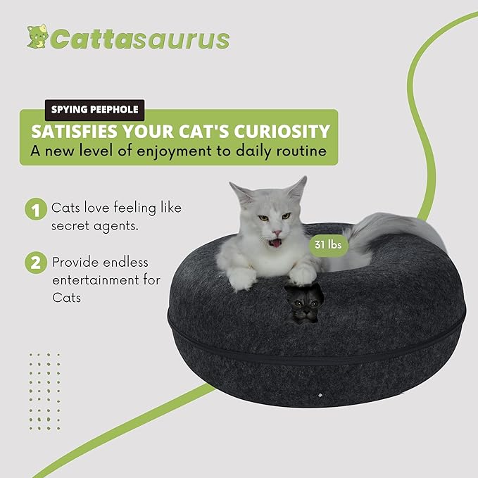 CATTASAURUS Peekaboo Cat Cave for Multiple & Large Cats Up to 30-45 Lbs, Scratch Detachable &