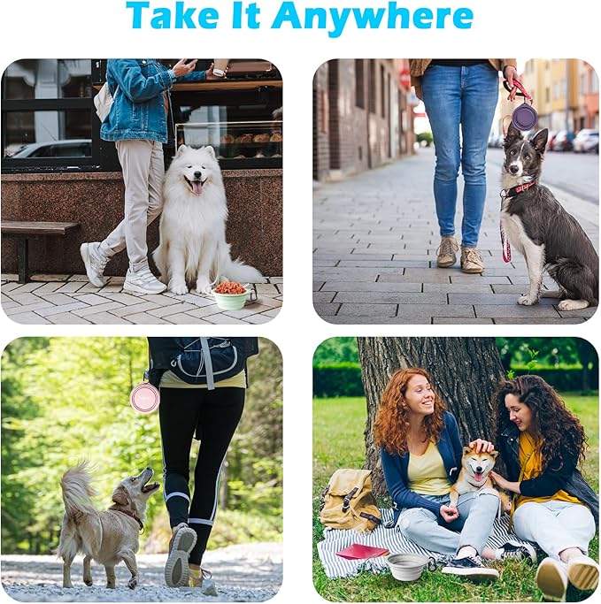 PetBonus 2-Pack Silicone Collapsible Dog Bowls, BPA Free Dishwasher Safe, Portable Foldable