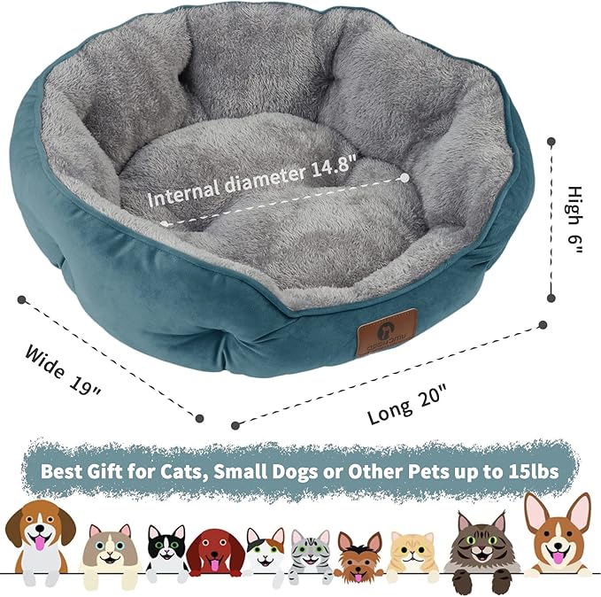 Asvin Small Dog Bed for Small Dogs, Cat Beds for Indoor Cats, Pet Bed for Puppy and Kitty, Extra