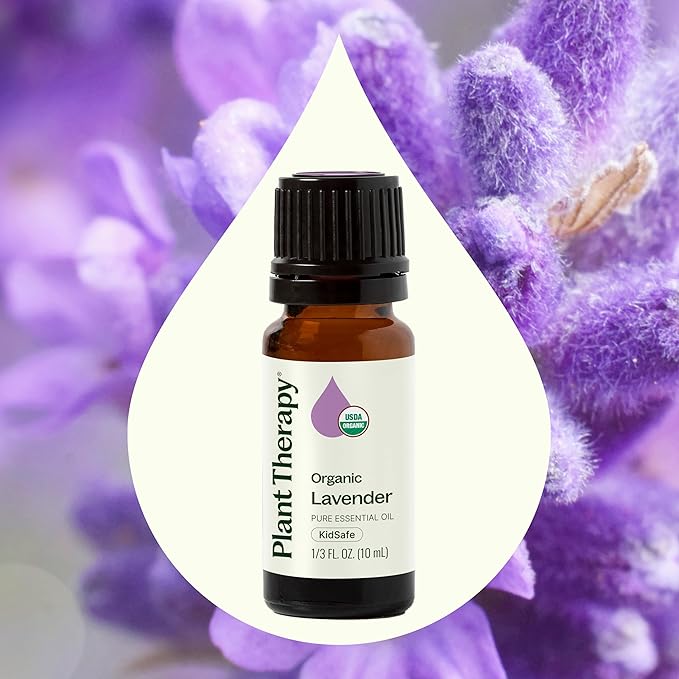 Plant Therapy Organic Lavender Essential Oil 100% Pure, USDA Certified Organic, Undiluted, Natural