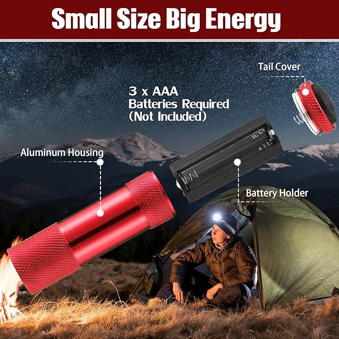 VIHOSE 20 Pcs Mini Flashlights Bulk, Bright Aluminum Handheld Flash Light with Lanyard Small LED