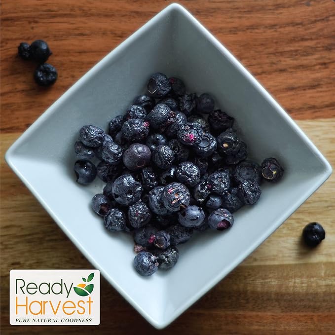 Ready Harvest Freeze-dried Blueberries Fruit Healthy Snacks Trail Mix Camping food, School Snacks