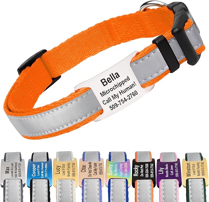 GoTags Reflective Personalized Dog Collar with Nameplate, Adjustable Dog Collar with Custom