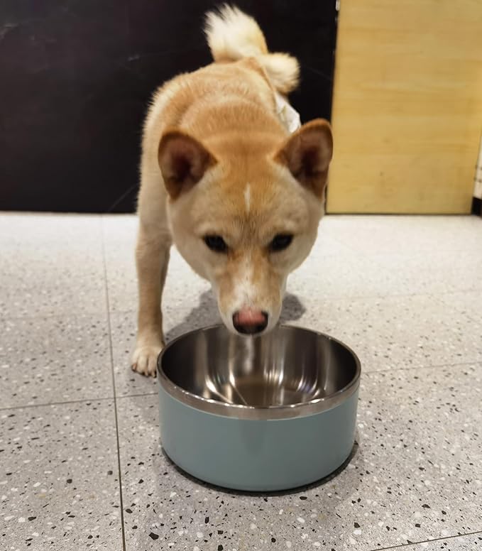 Dog Bowl, Stainless Steel Dog Food and Water Bowl with Non Slip Quiet Bottom, Easy to Clean