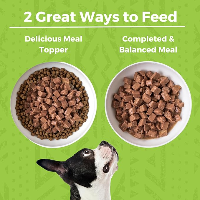 KOHA Minimal Ingredient Duck Stew for Dogs, High Protein Limited Ingredient Dog Food, 12.7oz Cans