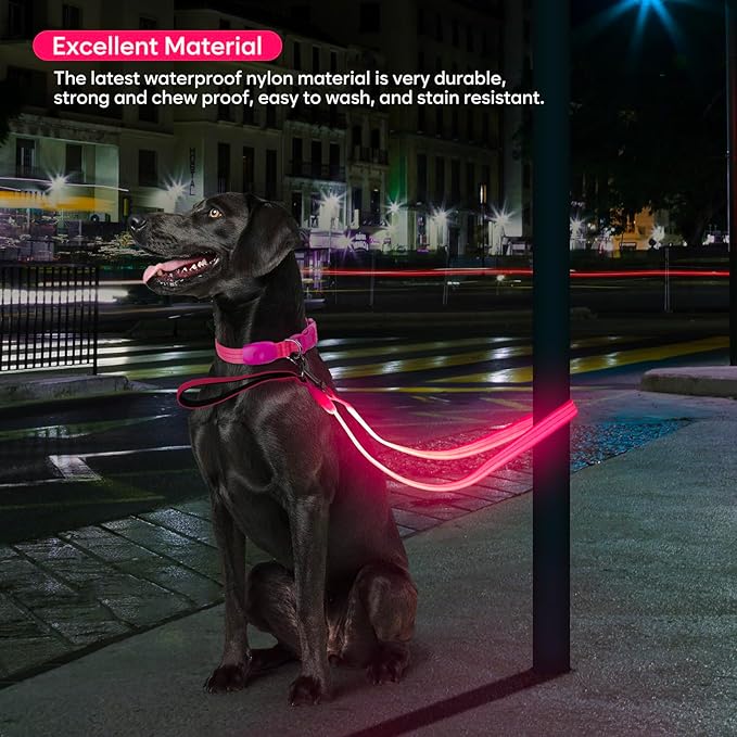 LED Dog Leash, Light Up Dog Leash 4 Ft USB Rechargeable Waterproof, Nylon Reflective Leashes with