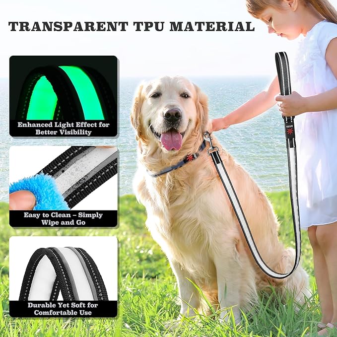 4 Ft LED Dog Leash, Light Up & Lighted Dog Leash, 7 Lighting Modes, Glow in The Dark, Reflective