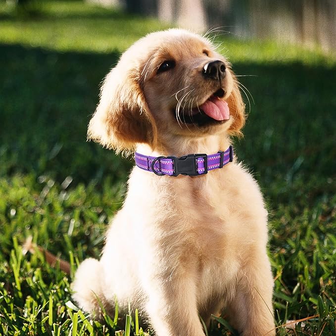 Mile High Life Reflective Dog Collar, Basic Dog Collars Adjustable Quick Release, Soft Nylon Pet