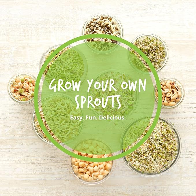 Organic Sprouting Seeds - Handy Pantry Sweet Protein Mix 2.5 lb, Fava Bean, Mung Bean, & Yellow Pea
