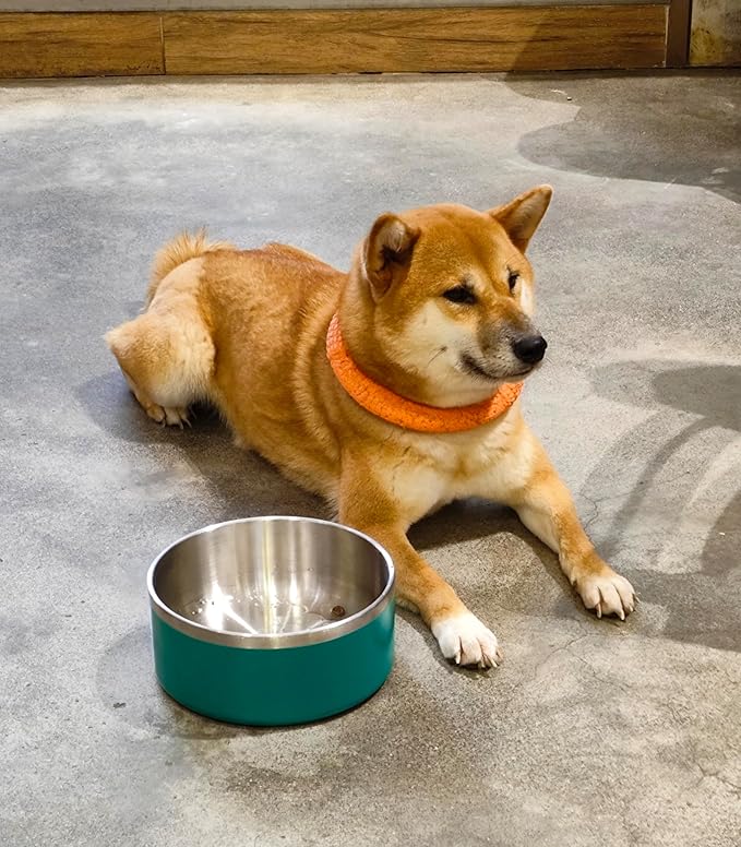 Dog Bowl, Stainless Steel Dog Food and Water Bowl with Non Slip Quiet Bottom, Easy to Clean