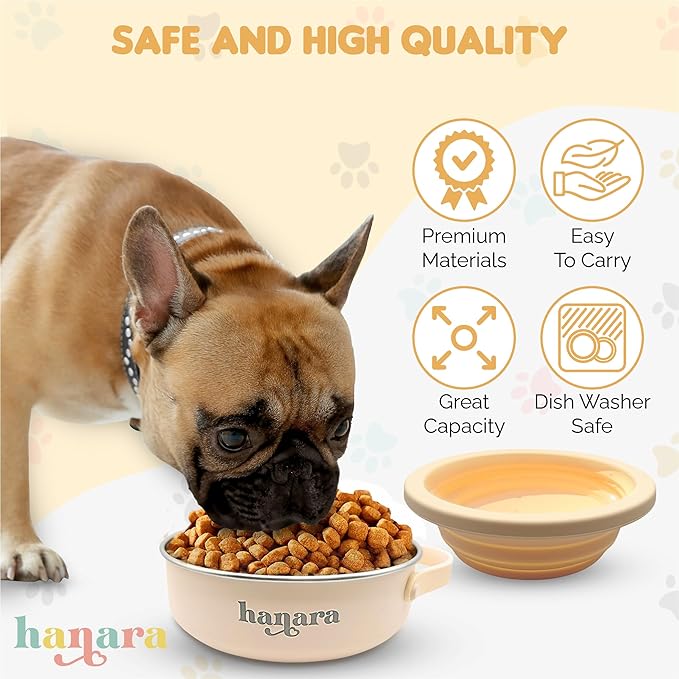 HANARA 2-in-1 Insulated Dog Bowl with Collapsible Lid & Handle ??Stainless Steel, Non-Slip Rubber