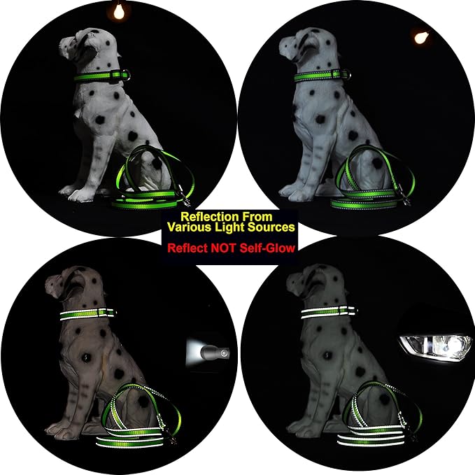 Mile High Life Dog Collar | Nylon Reflective Dog Collars | Light Weight Puppy Collars | Purple Dog