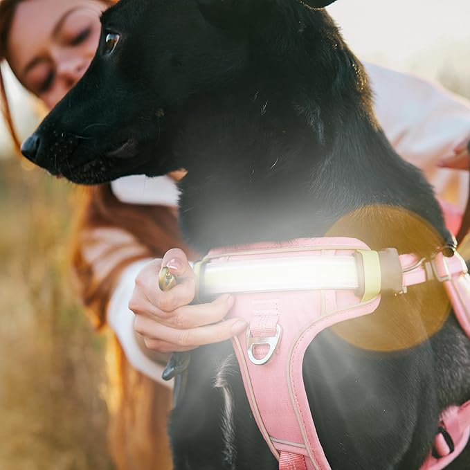 Lumi One LED Dog Harness for Night Visibility and Safety, Patent Pending, Adjustable Dog Harness