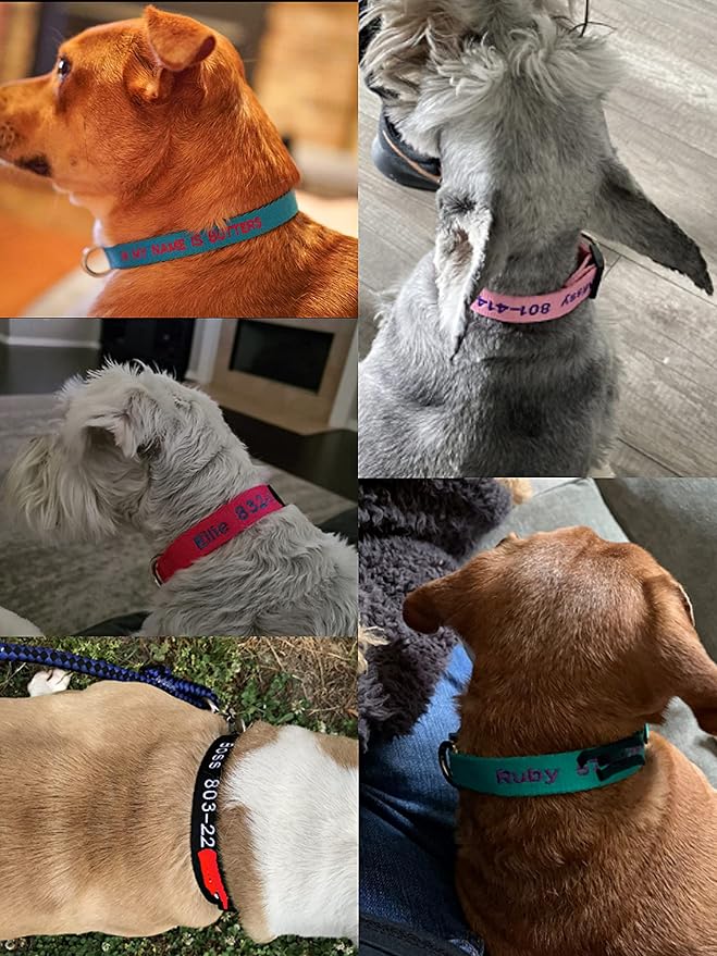 FlowerTown Personalized Dog Collar with Embroidered Name and Phone Number, Custom Dog ID Collars 4