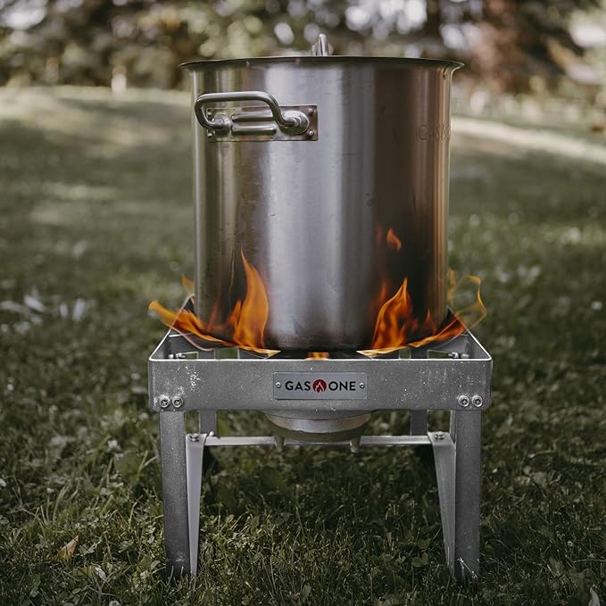 GasOne Stainless Steel Outdoor Propane Burner ??High Pressure Camp Stove with Adjustable Regulator