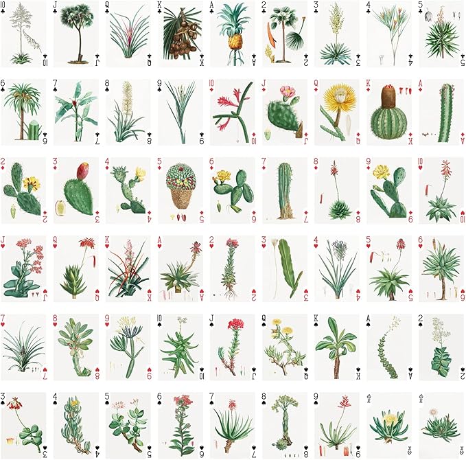 Cactus and Succulents Playing Cards (Poker Deck 54 Cards All Different) Vintage Antique Botannical