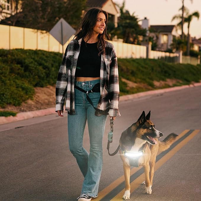 Lumi One LED Dog Harness for Night Visibility and Safety, Patent Pending ??Light-Up Dog Vest