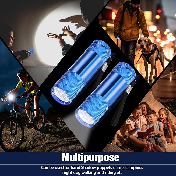 VIHOSE 12 Pcs Mini Flashlights Bulk, Bright Aluminum Handheld Flash Lights with Lanyard, Small LED