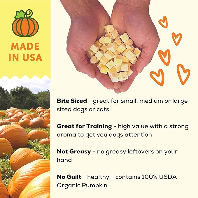 A Better Treat ??Freeze Dried Organic Pumpkin Dog and Cat Treats, Organic, Single Ingredient |