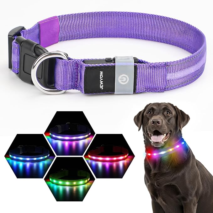LED Dog Collar, Light Up Dog Collar, USB Rechargeable - Brightest Dog Lights for Night Walking, 6