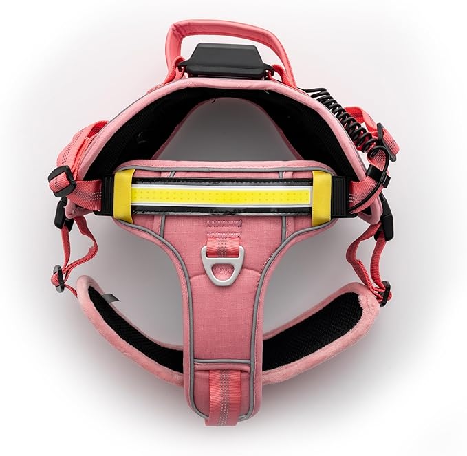 Lumi One LED Dog Harness for Night Visibility and Safety, Patent Pending, Adjustable Dog Harness